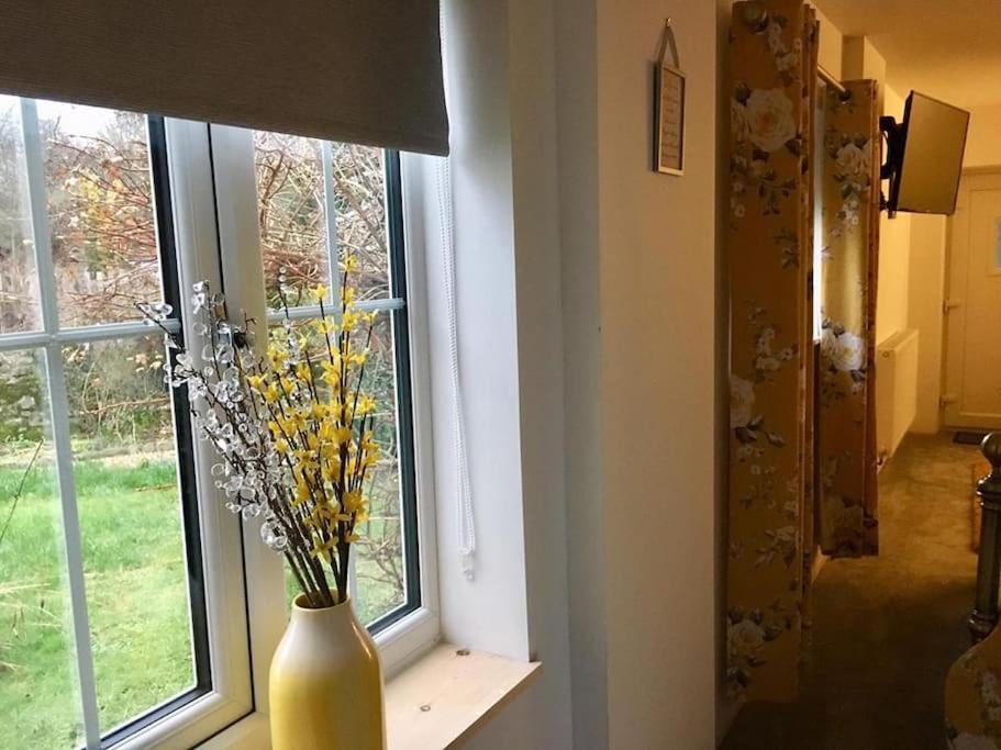 Daffodil House , West Wales Llandovery Buitenkant foto